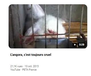 Capture d ecran 16 8 2026 101559 www bing com