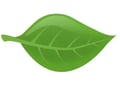 Oip 2